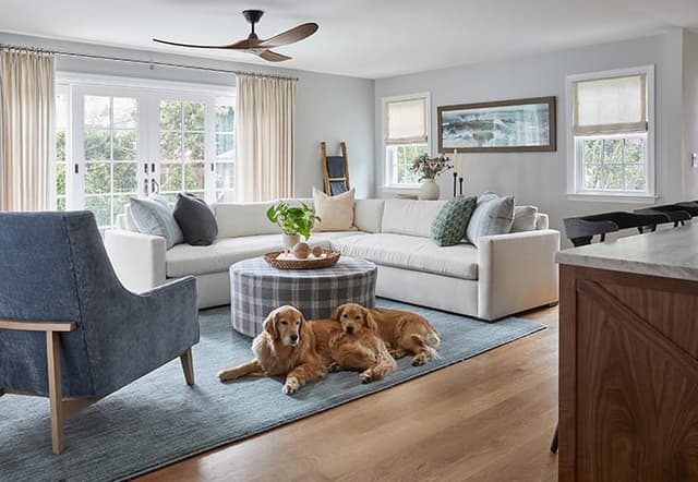 Family room with a slipcovered sectional, plaid ottoman and two golden retrievers on a blue rug, in a Westfield, NJ whole-home renovation furnished by Ellie Mroz Design